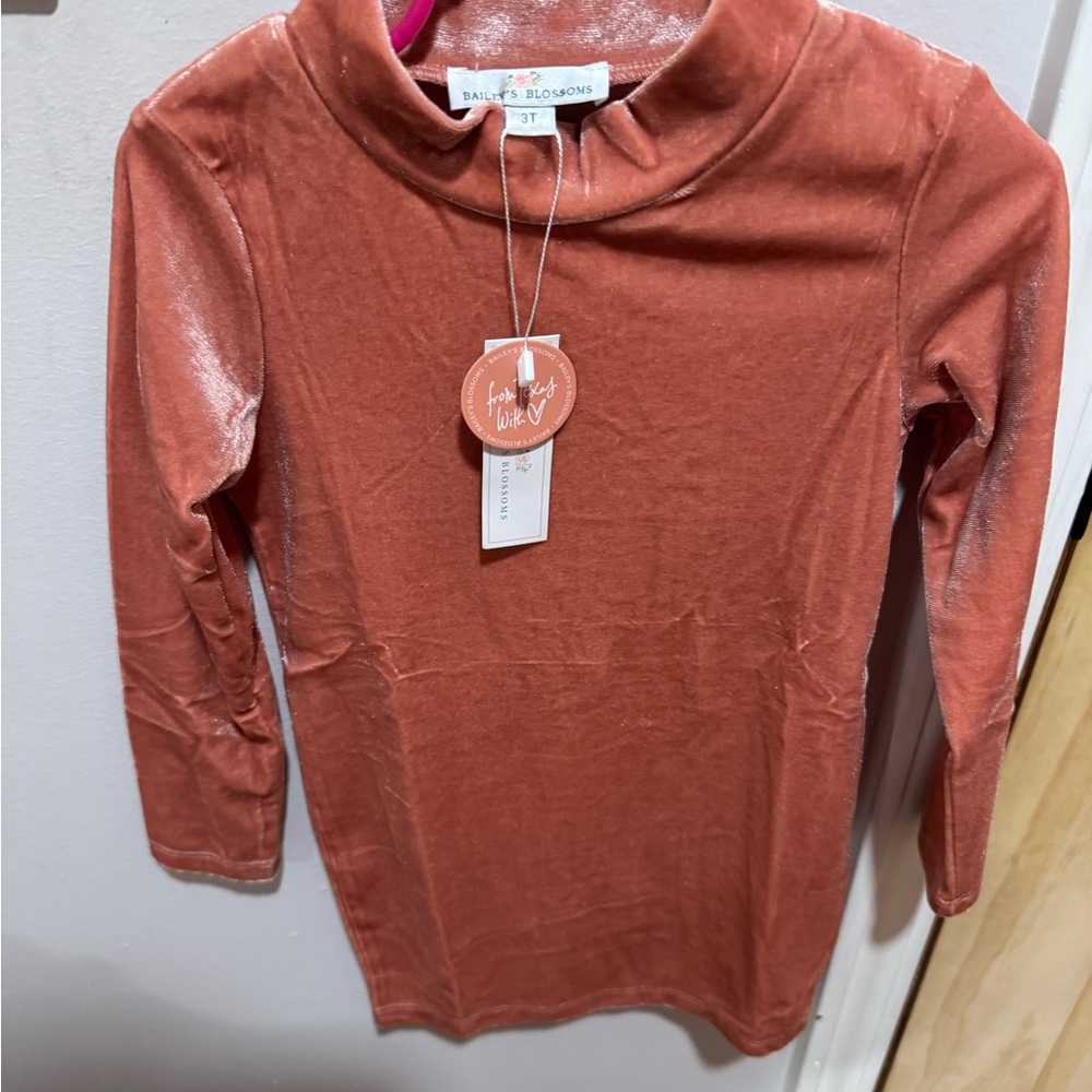 Bailey's Blossoms Rust Long Sleeve Dress 3T, NWT